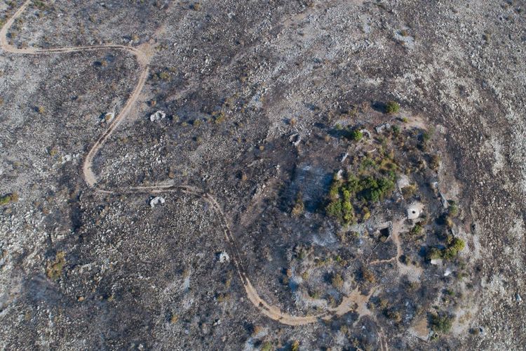 Окрестности поселка Бигова на полуострове Луштица после пожара