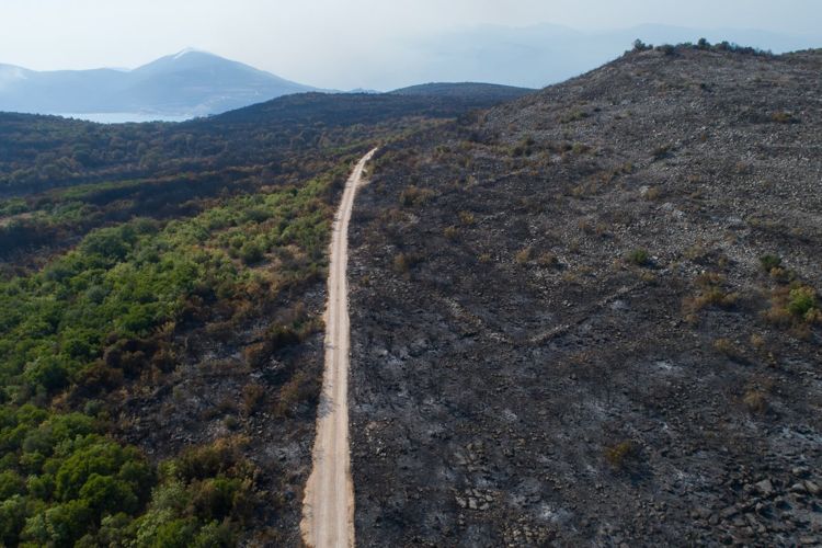 Окрестности поселка Бигова на полуострове Луштица после пожара