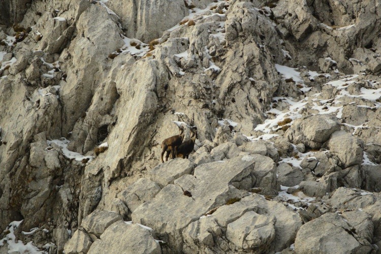 Национальный парк «Пакленица» в конце ноября 2016 г.