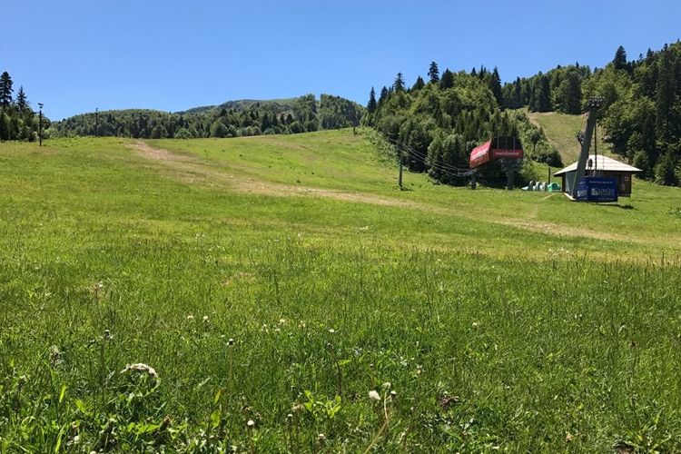 Горнолыжный центр Kolašin 1450 летом. Фото: Facebook, Ski Centar Kolasin 1450