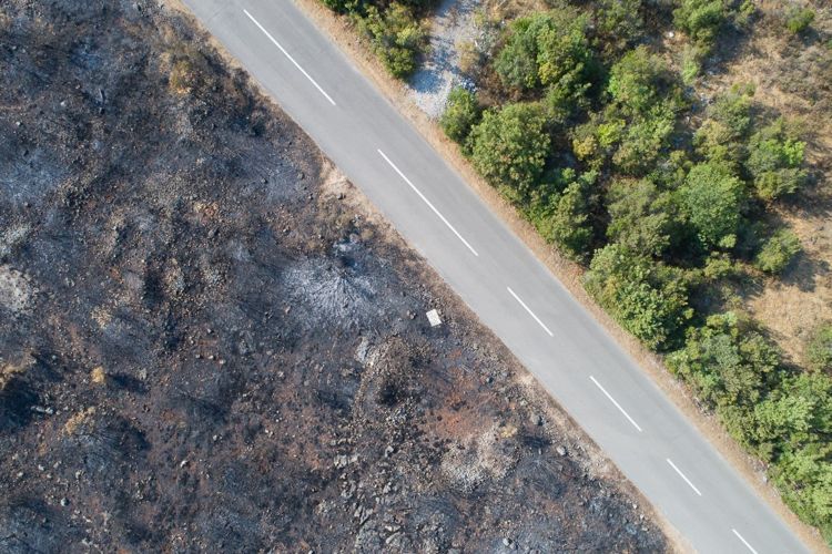 Окрестности поселка Бигова на полуострове Луштица после пожара