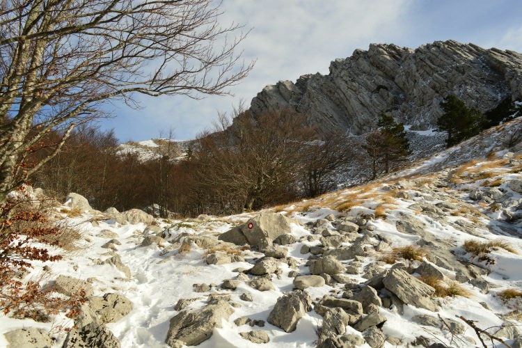 Национальный парк «Пакленица» в конце ноября 2016 г.
