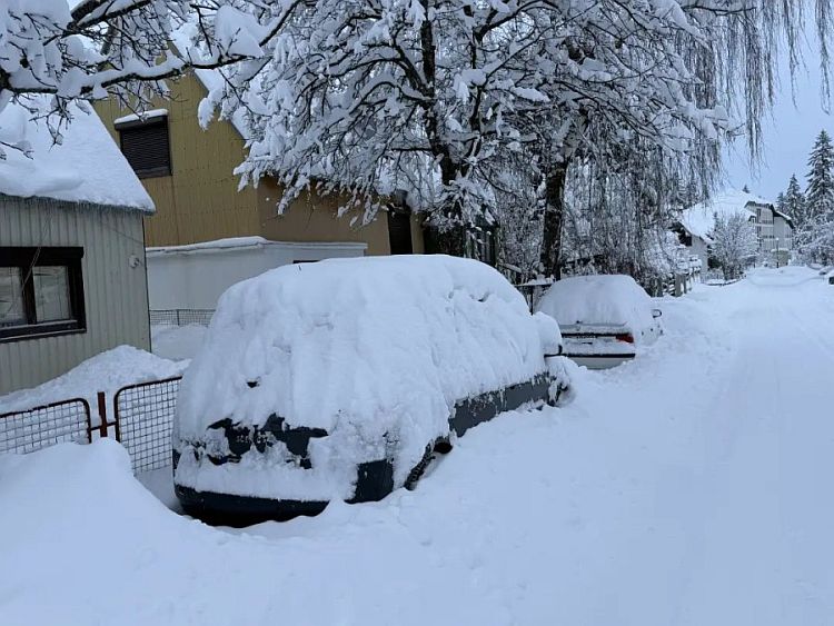Жабляк в январе 2026 года