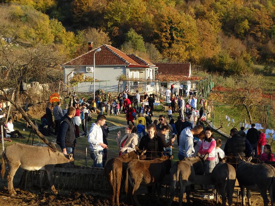 Новогодний праздник на ослиной ферме в Черногории