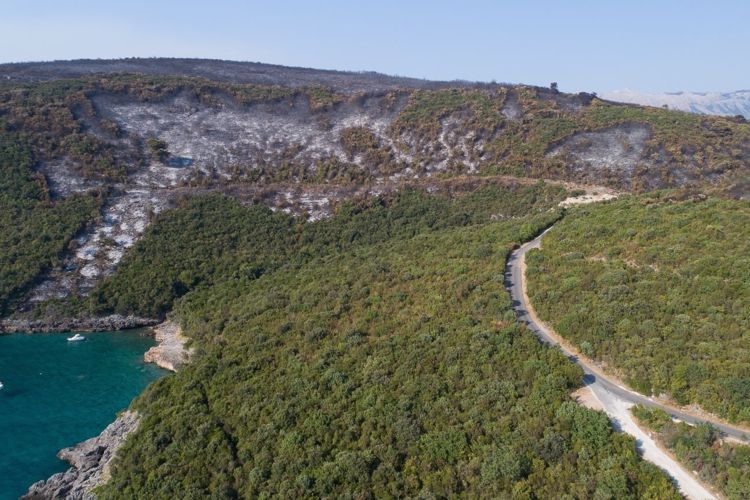 Окрестности поселка Бигова на полуострове Луштица после пожара