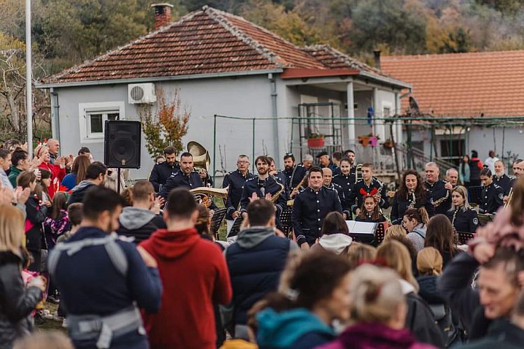 Новогодний бал на ослиной ферме в поселке Мартиничи