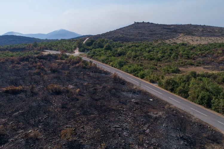 Окрестности поселка Бигова на полуострове Луштица после пожара
