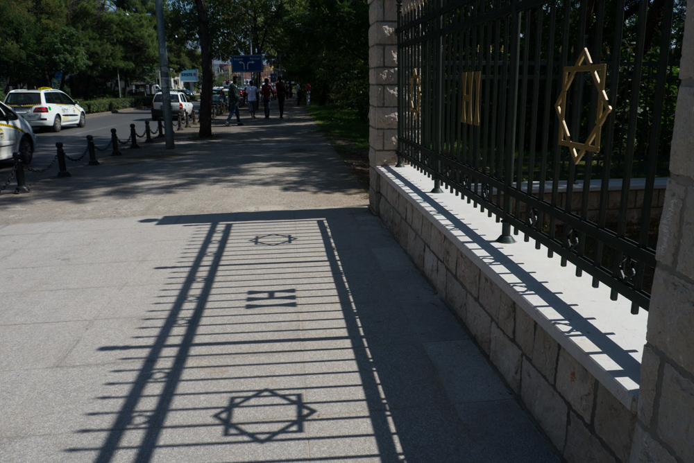 Королевский парк в Подгорице