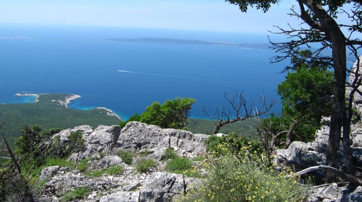 Остров Лошинь. Фото: Facebook, Losinj Hotels & Villas