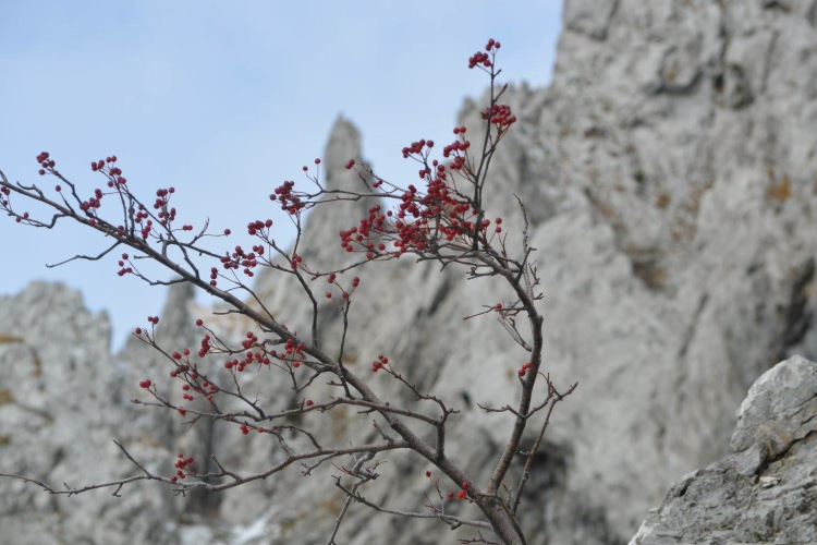 Национальный парк «Пакленица» в конце ноября 2016 г.
