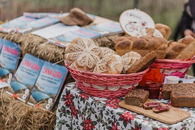 Новогодний бал на ослиной ферме в поселке Мартиничи