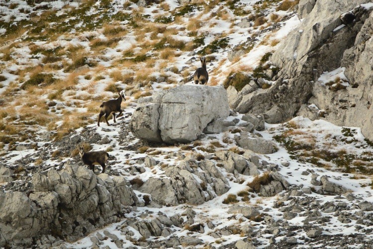 Национальный парк «Пакленица» в конце ноября 2016 г.