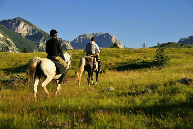 Черногория. Фото: Facebook, Tri Kanjona Festival