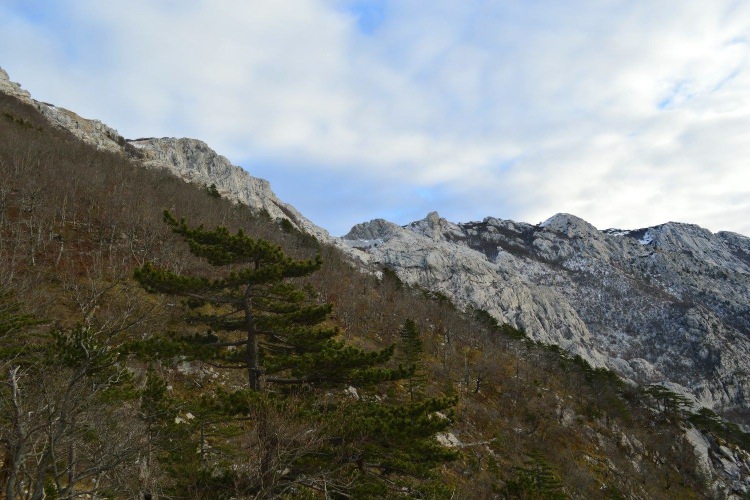Национальный парк «Пакленица» в конце ноября 2016 г.