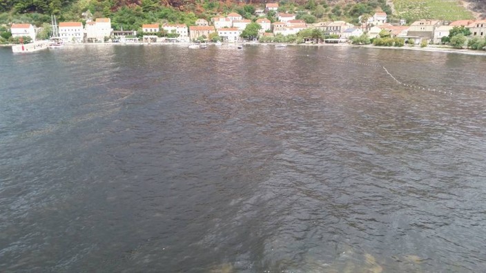 В Дубровнике почернело море Почерневшее море у Дубровника. Фото: http://dubrovacki.hr, Antun Poljanić, Facebook