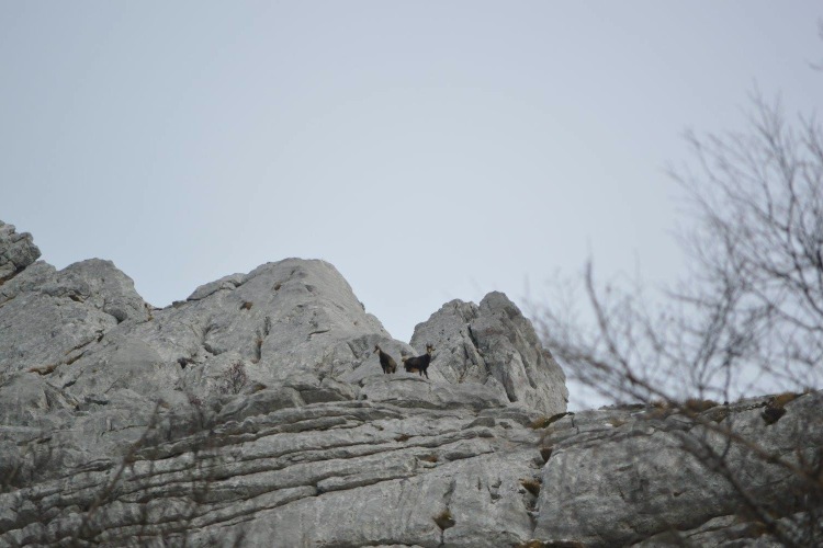 Национальный парк «Пакленица» в конце ноября 2016 г.