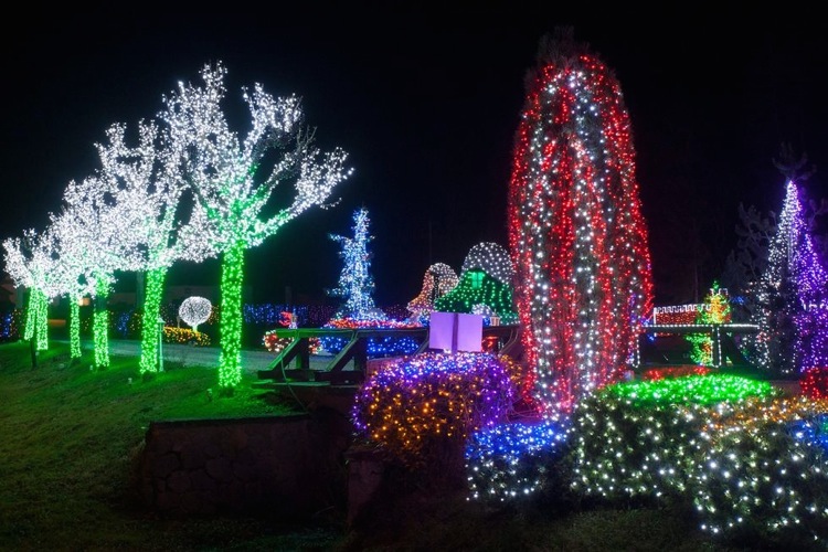 Рождественский парк недалеко от Загреба