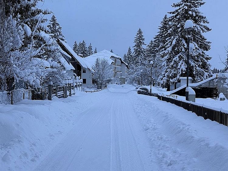 Жабляк в январе 2026 года