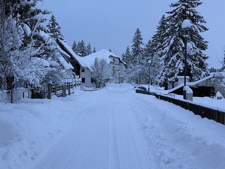 Жабляк. Фото: Mina