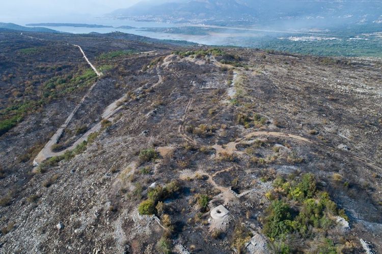 Окрестности поселка Бигова на полуострове Луштица после пожара