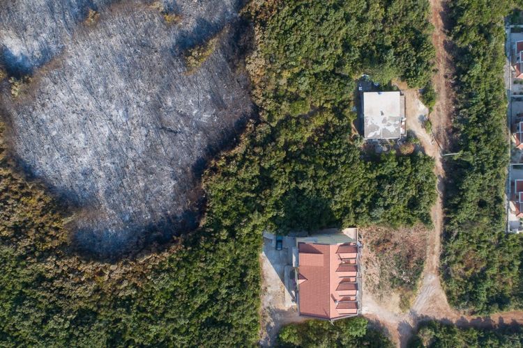 Окрестности поселка Бигова на полуострове Луштица после пожара