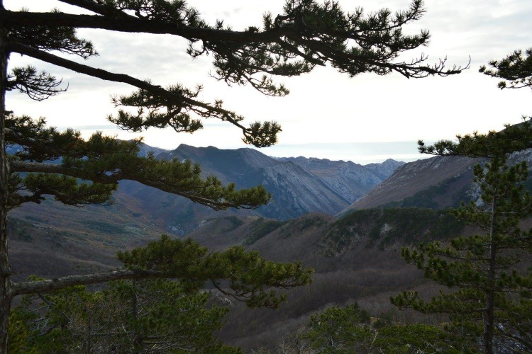 Национальный парк «Пакленица» в конце ноября 2016 г.