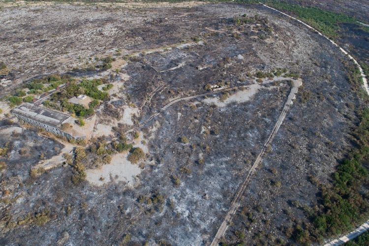 Окрестности поселка Бигова на полуострове Луштица после пожара