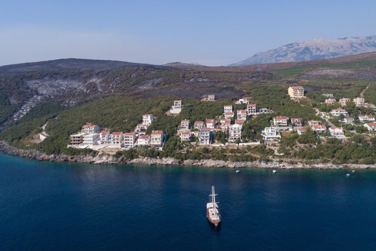 Окрестности поселка Бигова на полуострове Луштица после пожара
