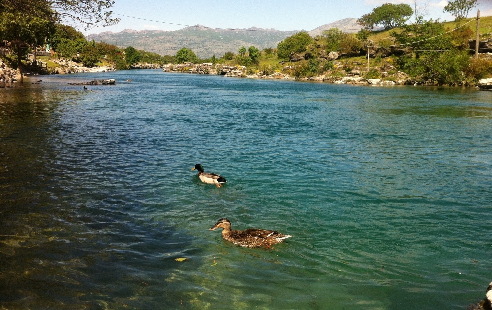 Водопад Ниагара на реке Циевна