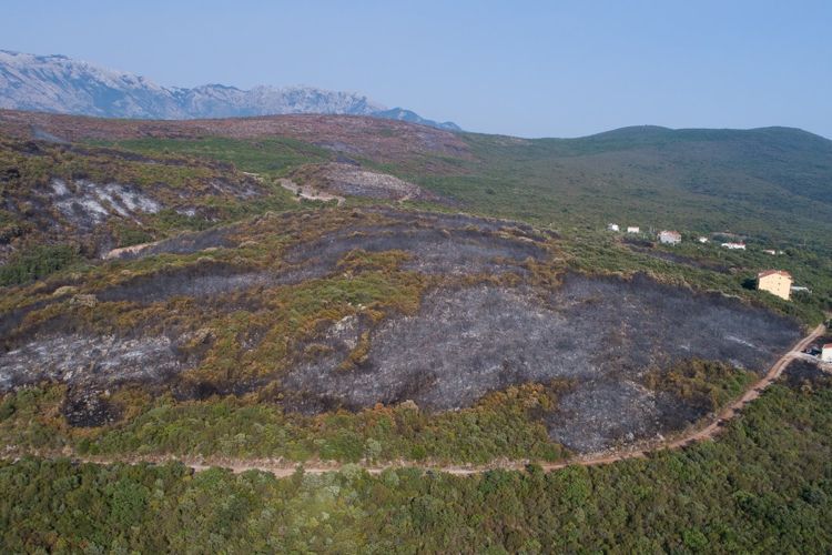 Окрестности поселка Бигова на полуострове Луштица после пожара