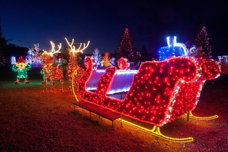 Рождественский парк недалеко от Загреба