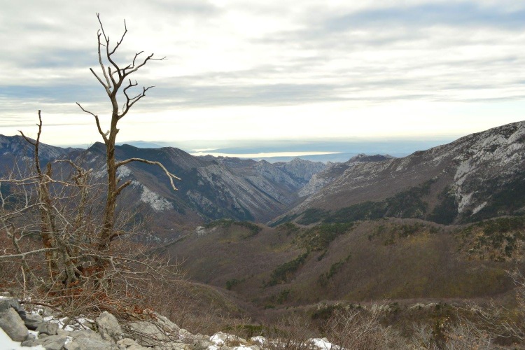 Национальный парк «Пакленица» в конце ноября 2016 г.