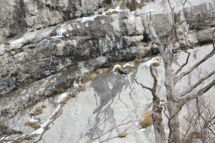 Национальный парк «Пакленица» в конце ноября 2016 г.