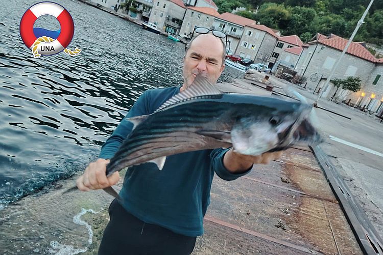 Фото: Bokanews.me