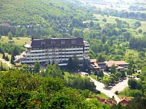 Сокобаня. Фото: Facebook, SokoBanja www.soko-banja.org