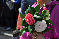 Праздник камелии в Столиве. Фото: Bokanews.me