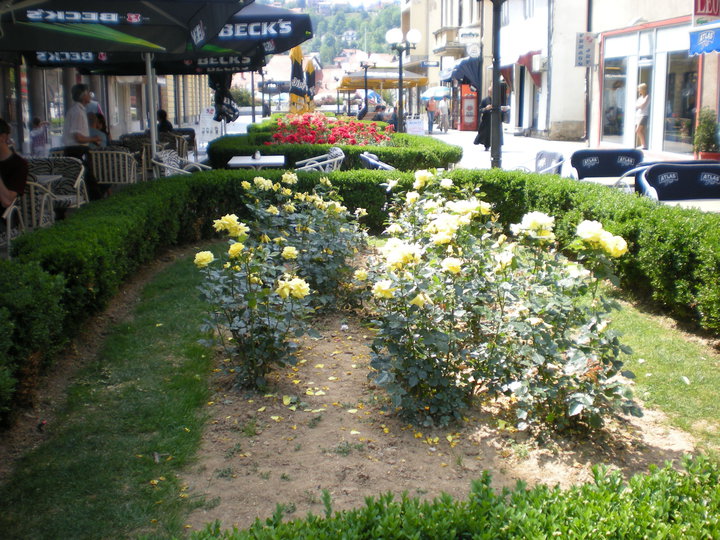 Сербский город Валево 