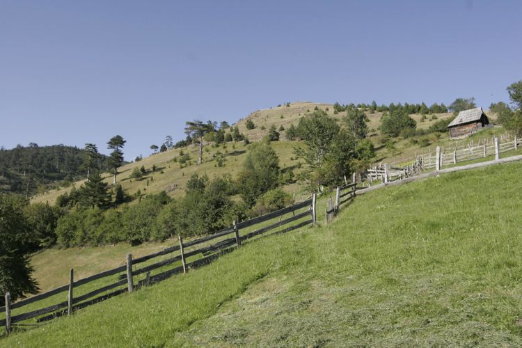 Национальный парк «Тара» осенью 2016 года