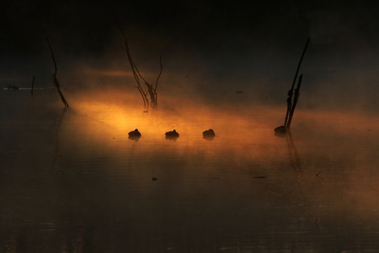 Утро на Дунае в ноябре 2016 года