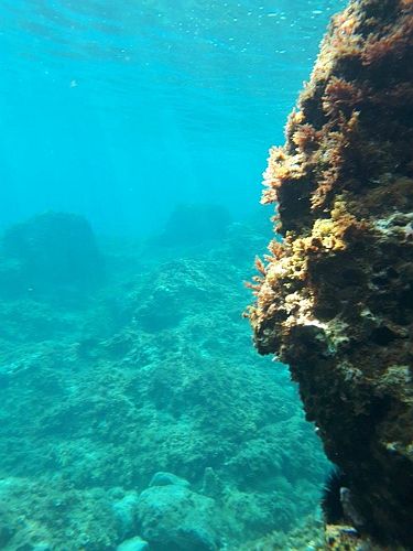 Подводный мир вблизи Бара