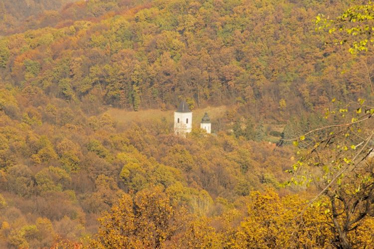 Национальный парк &laquo;Фрушка-Гора&raquo; в&nbsp;ноябре 2016&nbsp;г.