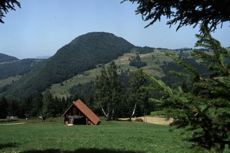 Национальный парк «Тара» осенью 2016 года