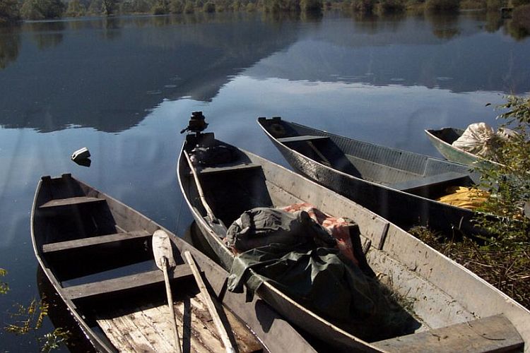 Скадарское озеро. Фото: Cdm.me, архив
