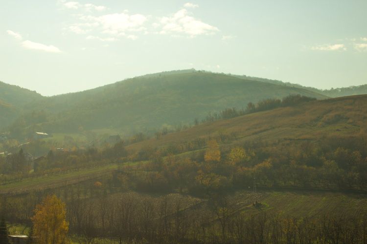 Национальный парк &laquo;Фрушка-Гора&raquo; в&nbsp;ноябре 2016&nbsp;г.