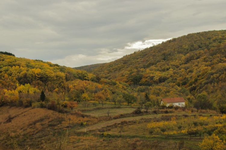Национальный парк &laquo;Фрушка-Гора&raquo; в&nbsp;ноябре 2016&nbsp;г.