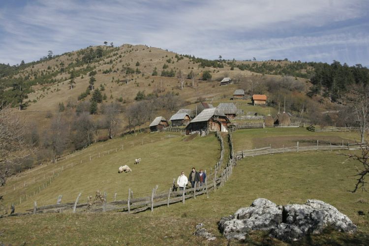 Национальный парк «Тара» осенью 2016 года