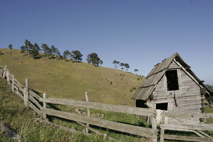 Национальный парк «Тара» осенью 2016 года