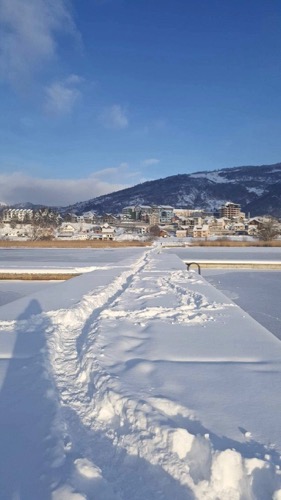 Плавское озеро в конце января 2019 года