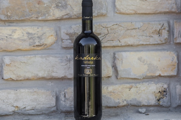 Винодельческое хозяйство в Воеводине