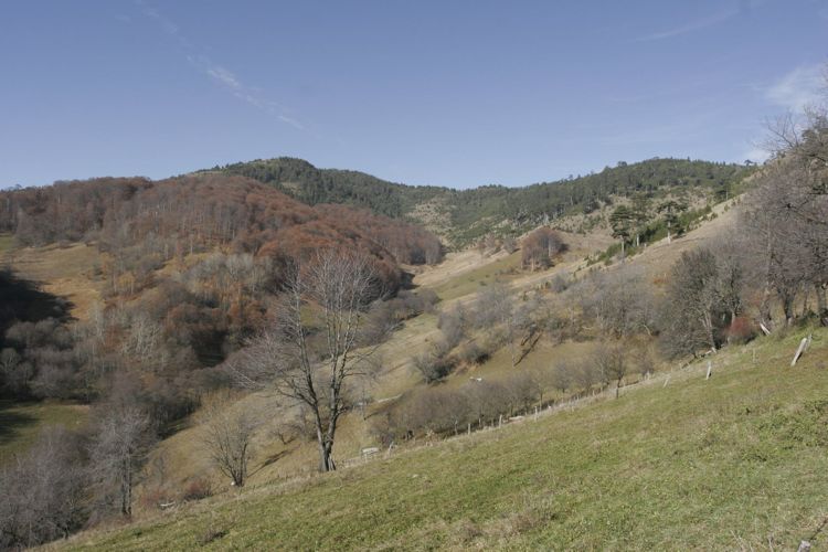 Национальный парк «Тара» осенью 2016 года